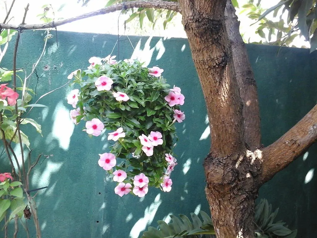 ***  House Of Esanya Bed & Breakfast Negombo Sri Lanka
