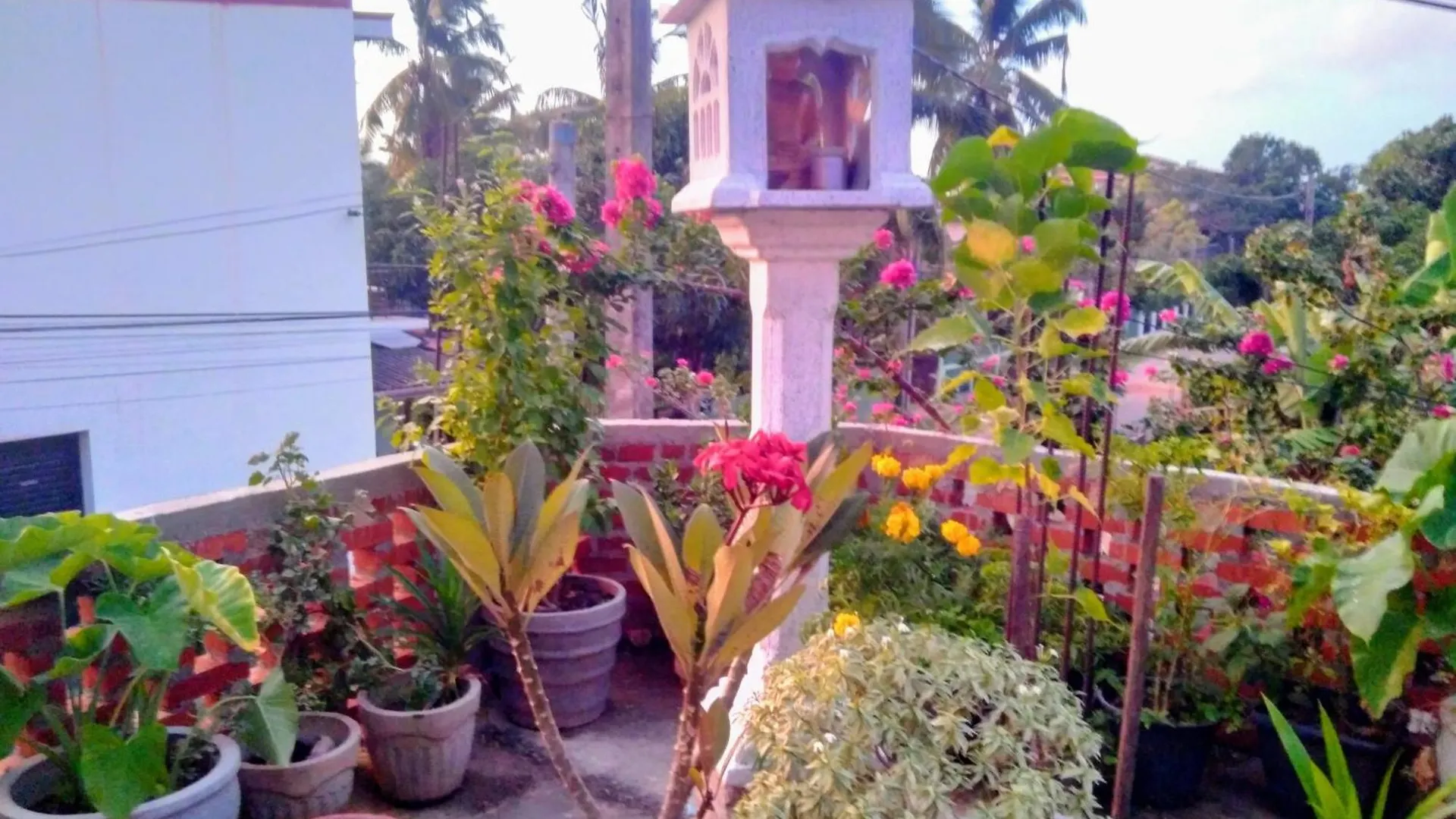 House Of Esanya Bed & Breakfast Negombo 3*,  Sri Lanka