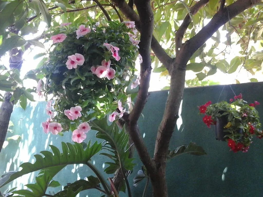 House Of Esanya Bed & Breakfast Negombo